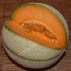 Melon charentais 
