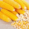 Maïs popcorn 500gr 
