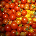 Tomates cerises 250gr