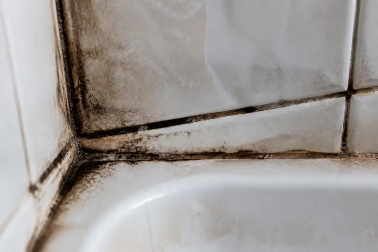 Joints de douche encrassés par la moisissure et le calcaire, montrant le besoin de nettoyer joint de douche.