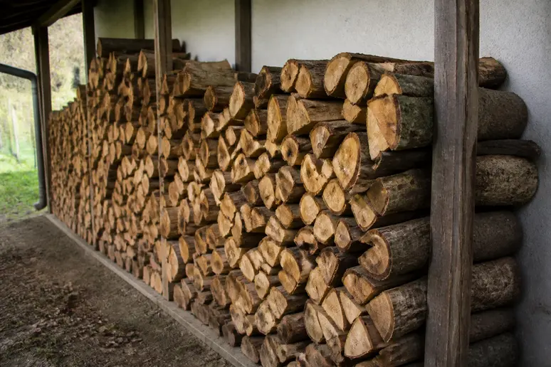 Bûches de bois de chauffage 50 cm soigneusement rangées sous un abri de stockage.