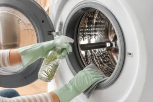 Mains nettoyant le joint en caoutchouc de la machine à laver avec un produit naturel pour bien désinfecter.