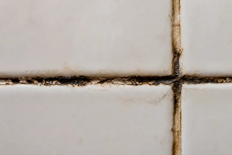 Gros plan sur un joint noir de salle de bain très encrassé par la moisissure.