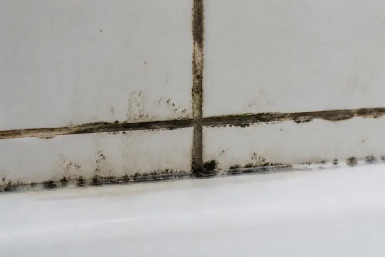 Aspect des joints de douche noircis par la moisissure, indiquant un problème d'humidité.