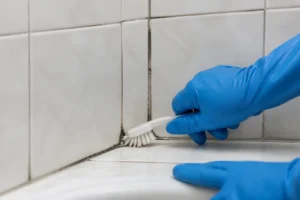 Mains gantées nettoyant des joints de douche noircis avec une brosse.