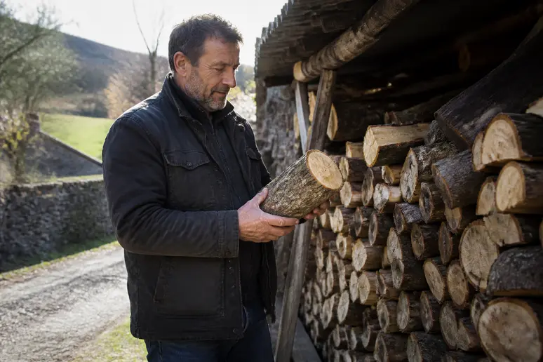Homme français examinant des bûches de chêne pour un tableau classement bois de chauffage performant.