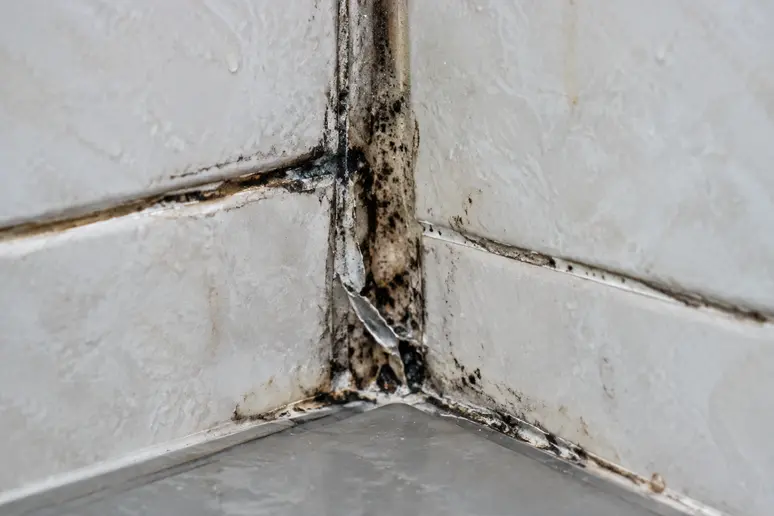 Gros plan sur un joint de salle de bain abîmé et noirci qui nécessite un remplacement