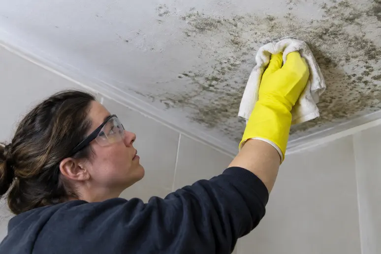 Personne portant des gants et des lunettes de protection nettoyant la moisissure sur un plafond de salle de bain.