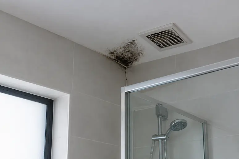 Tache noire d'humidité et de moisissure réapparaissant dans l'angle d'un plafond de salle de bain mal ventilé.