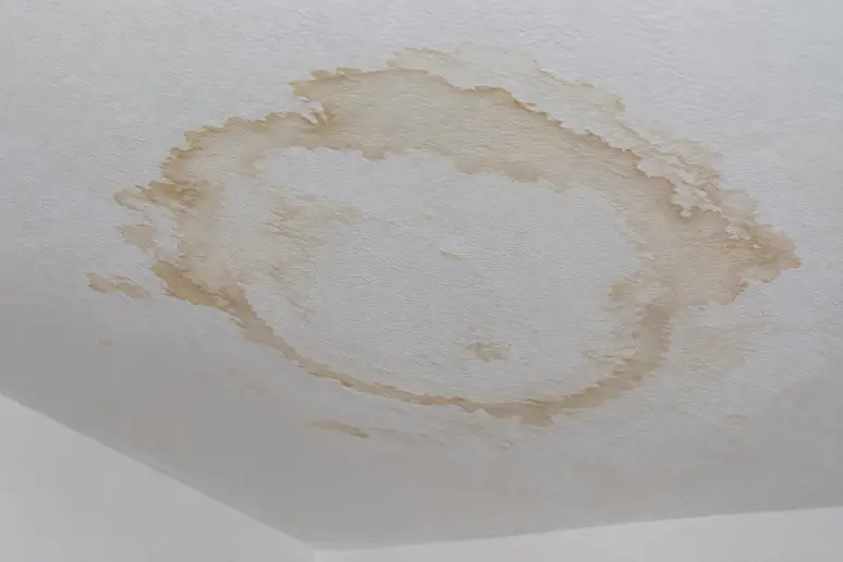 Petite tache marron au plafond en forme d'auréole irrégulière après une infiltration d'eau.