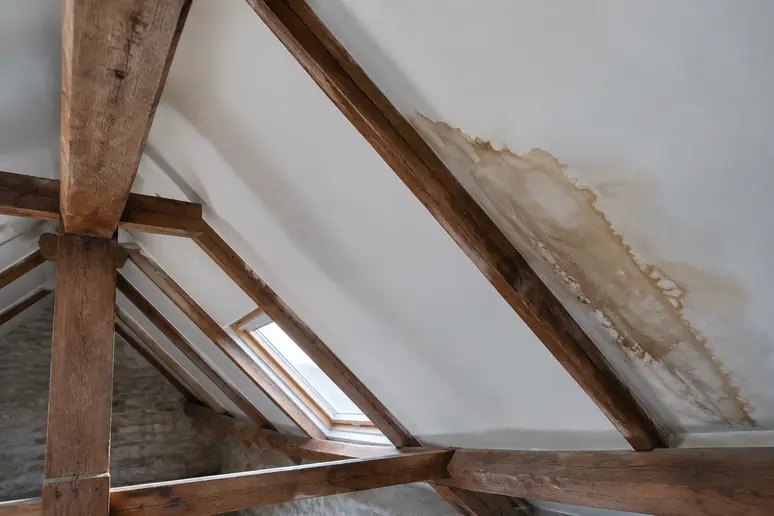 Petite tache marron au plafond située sous les combles près de la charpente.