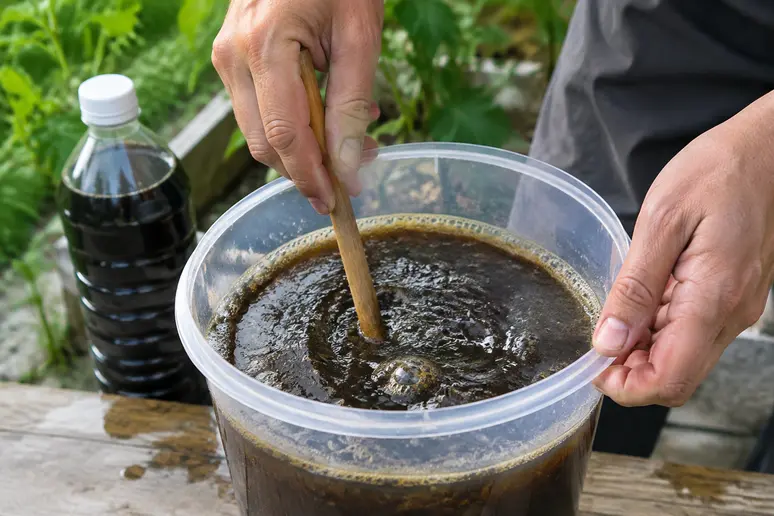 Mains versant du savon noir liquide dans un récipient d'eau chaude pour préparer le traitement anti-pucerons