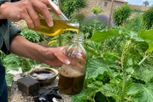 Jardinier préparant une recette anti puceron savon noir huile d olive dans un vaporisateur
